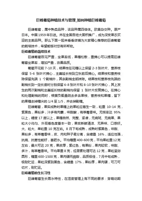 巨峰葡萄种植技术与管理_如何种植巨峰葡萄