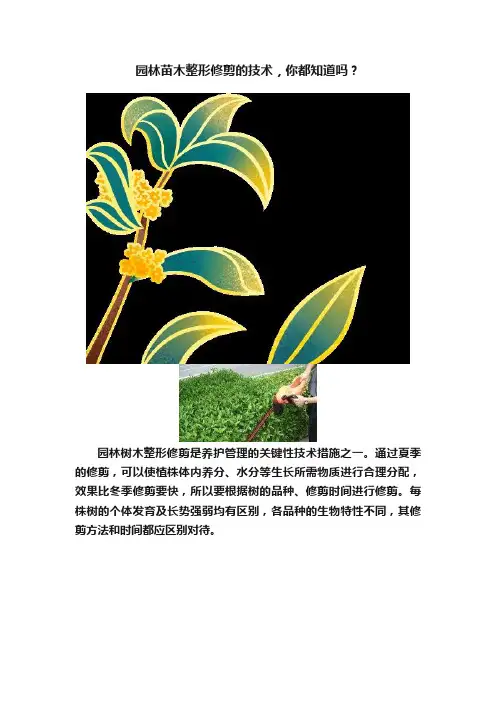 园林苗木整形修剪的技术，你都知道吗？
