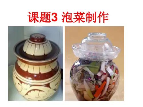 泡菜的制作 ppt课件