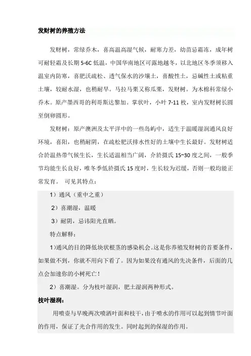 发财树的养殖方法