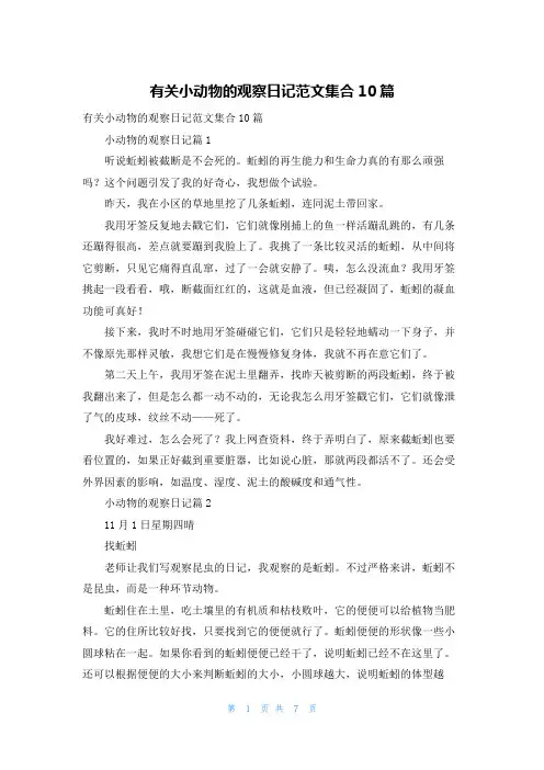 有关小动物的观察日记范文集合10篇