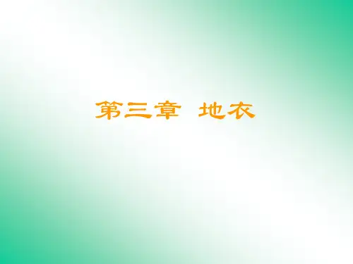 3-地衣