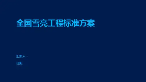 全国雪亮工程标准方案