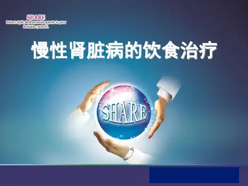 慢性肾脏病饮食治疗PPT课件