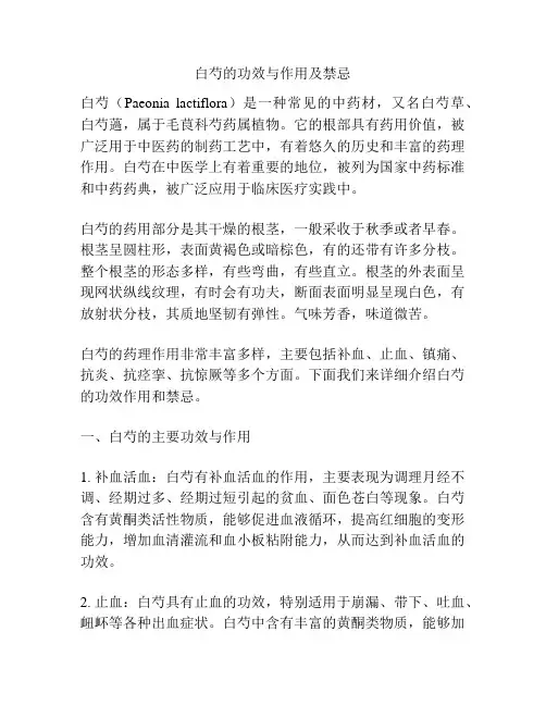 白芍的功效与作用及禁忌