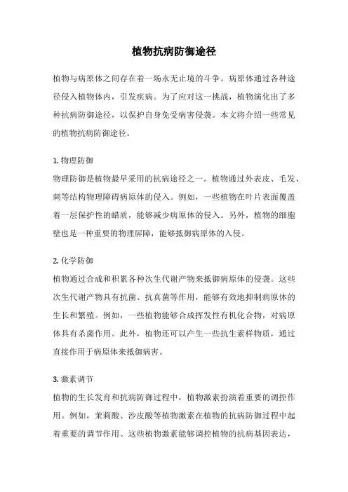 植物抗病防御途径