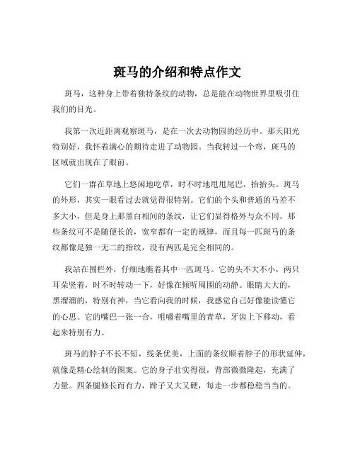 斑马的介绍和特点作文