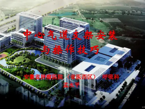 中心气道支架安装与操作技巧ppt课件