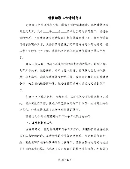 销售助理工作计划范文(三篇)