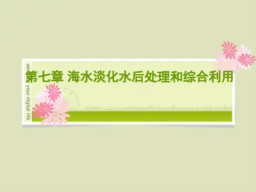 第七章 海水淡化后处理和综合利用