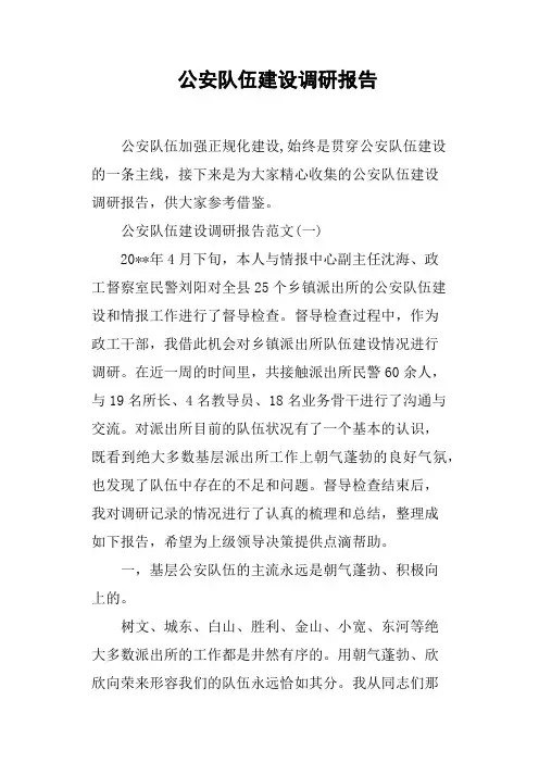 公安队伍建设调研报告