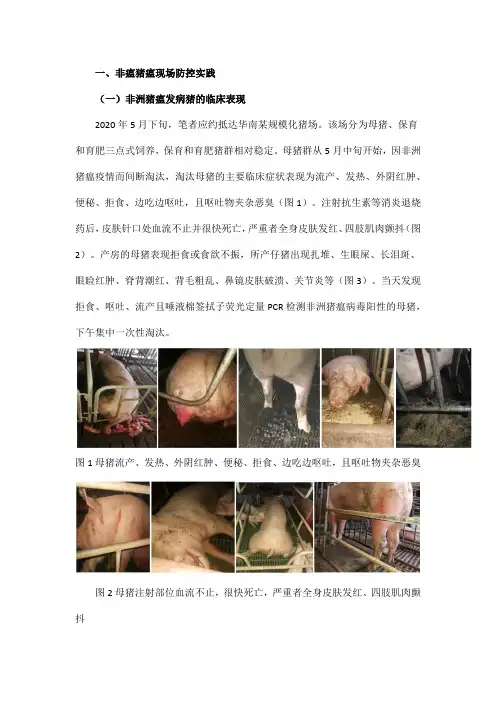 非洲猪瘟易感猪群及临床表现