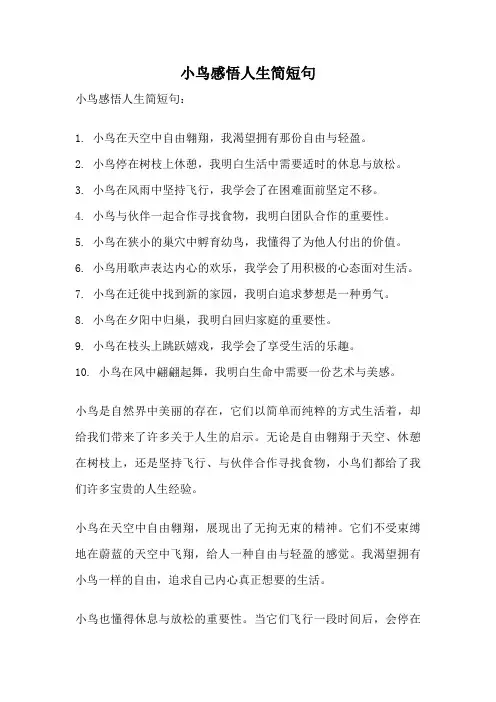 小鸟感悟人生简短句