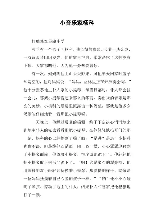 小音乐家杨科