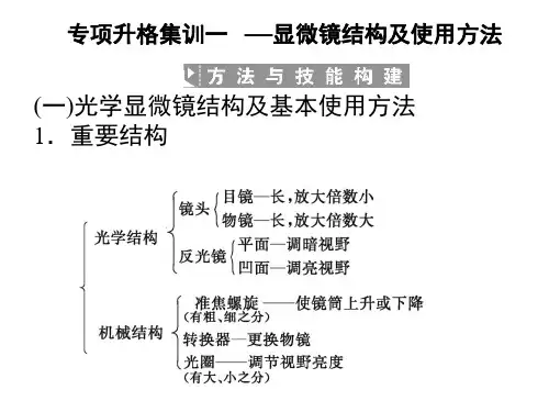 高一生物显微镜结构及使用方法