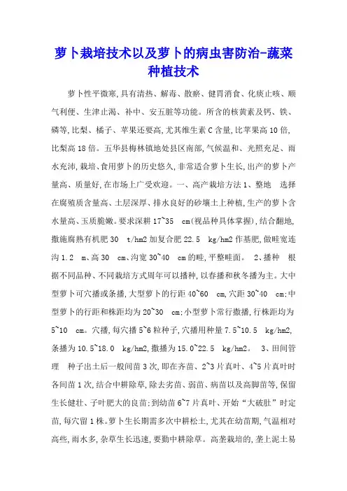 萝卜栽培技术以及萝卜的病虫害防治 - 蔬菜种植技术