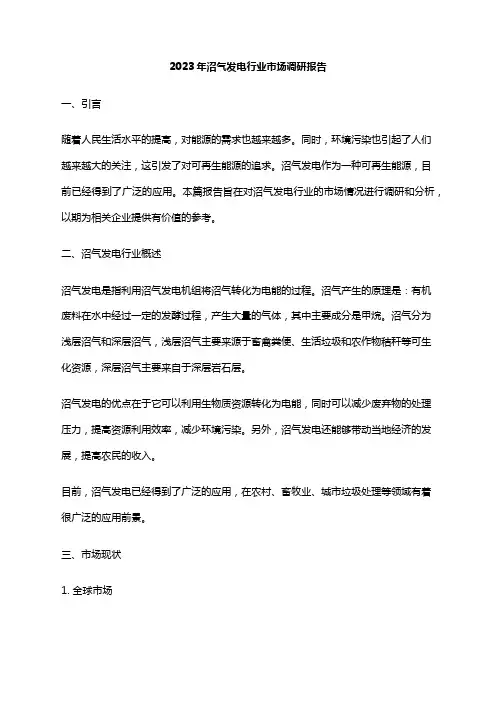 2023年沼气发电行业市场调研报告