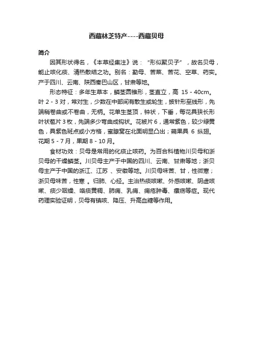 西藏林芝特产----西藏贝母