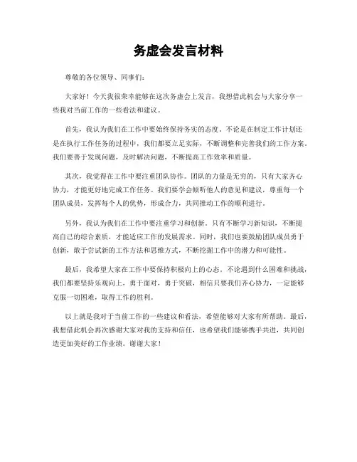 务虚会发言材料
