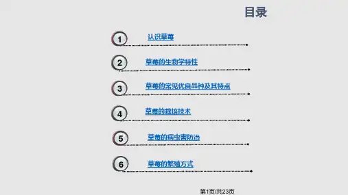 草莓概述及草莓栽培技术PPT课件