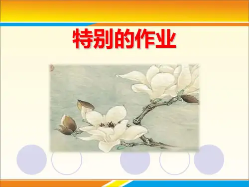 《特别的作业》PPT下载