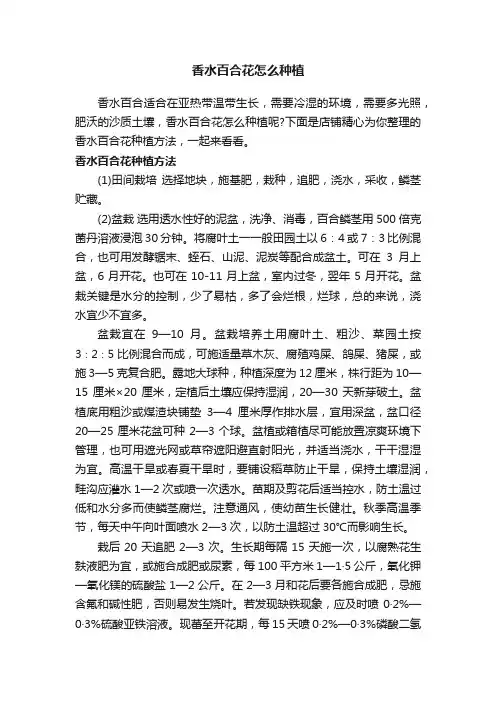 香水百合花怎么种植