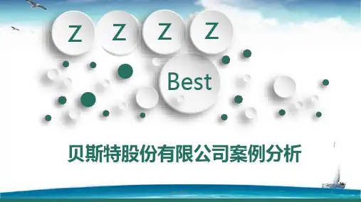 贝斯特公司审计案例分析  ppt课件