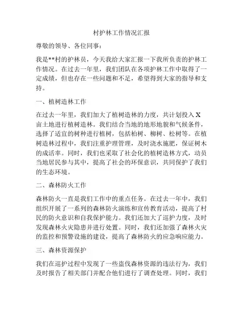 村护林工作情况汇报