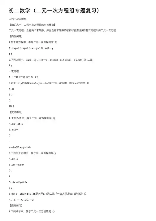 初二数学（二元一次方程组专题复习）