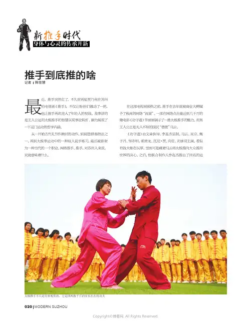 16243705_推手到底推的啥