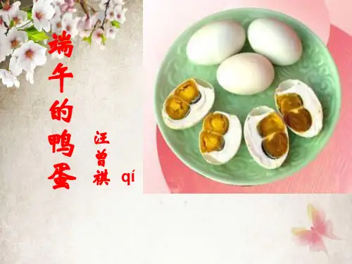 《端午的鸭蛋》公开课课件