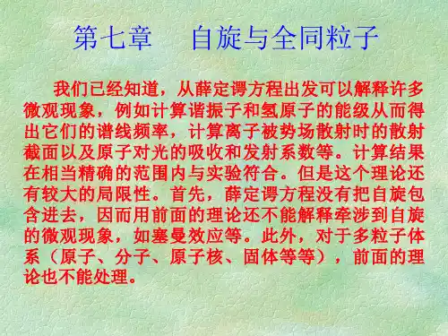 全同粒子体系的波函数泡利原理