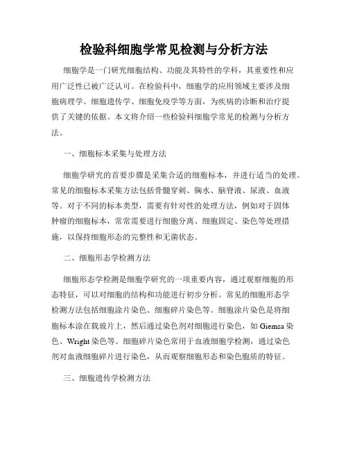 检验科细胞学常见检测与分析方法
