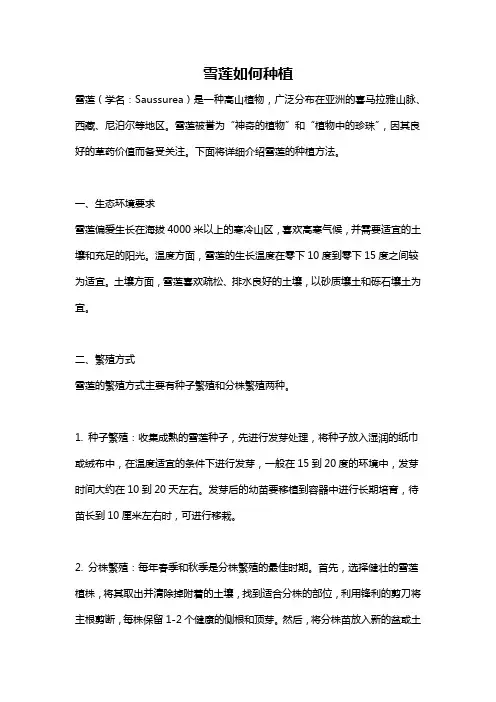 雪莲如何种植