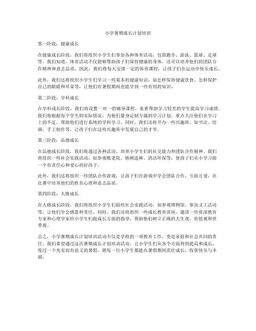 小学暑期成长计划培训