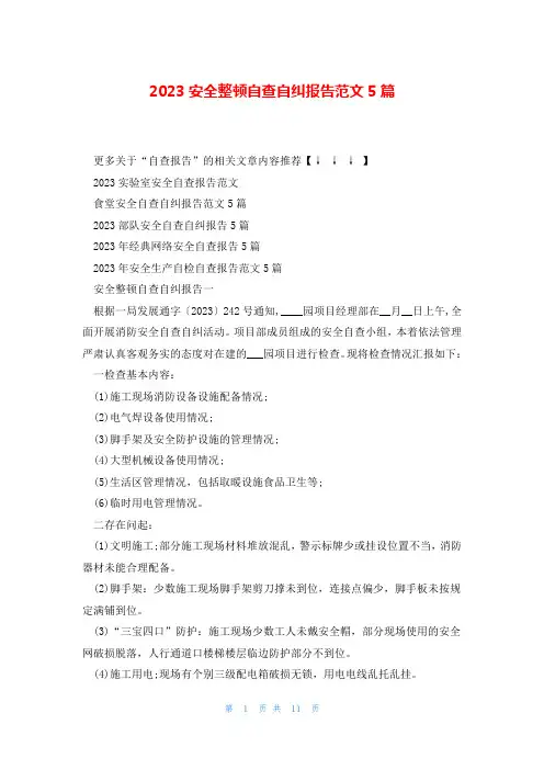 2023安全整顿自查自纠报告范文5篇