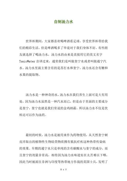 自制汤力水