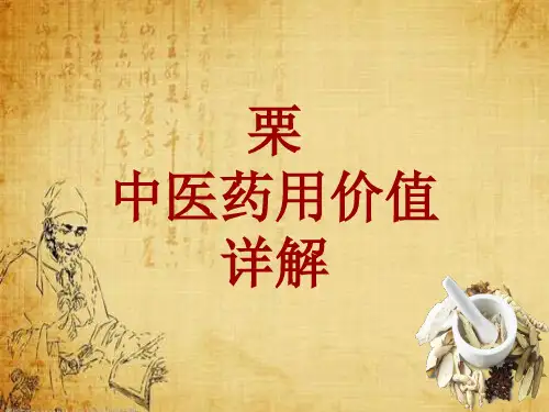 中药学_栗_药材详解课件模板
