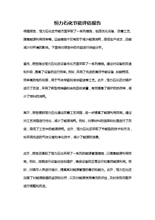 恒力石化节能评估报告