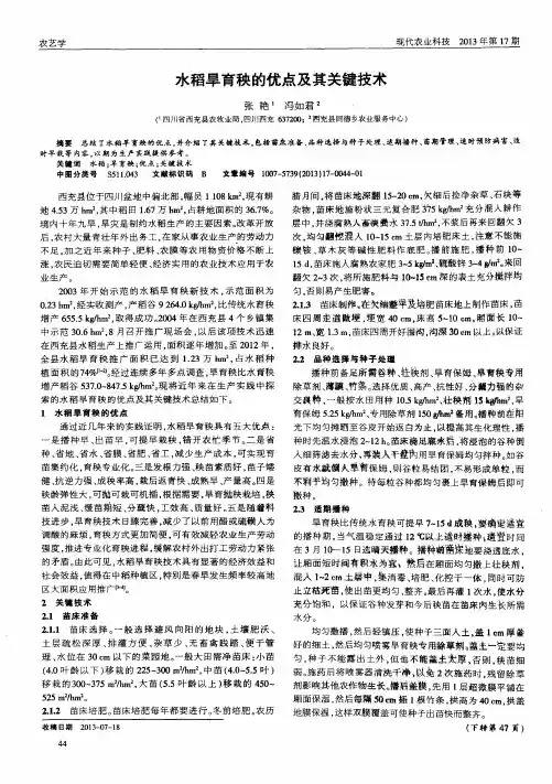 水稻旱育秧的优点及其关键技术