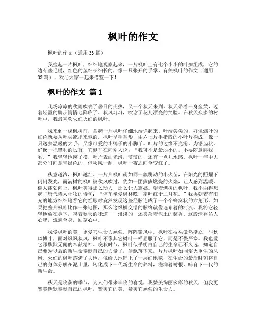 枫叶的作文