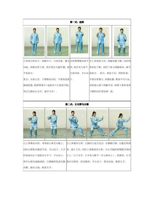 二十四式简化太极图解