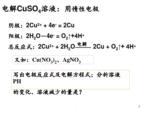 常见的电解原理的应用及电极反应式书写PPT课件