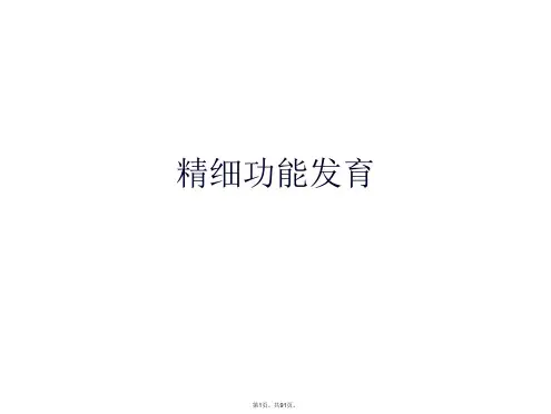 精细功能发育