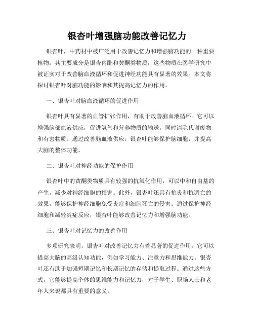 银杏叶增强脑功能改善记忆力