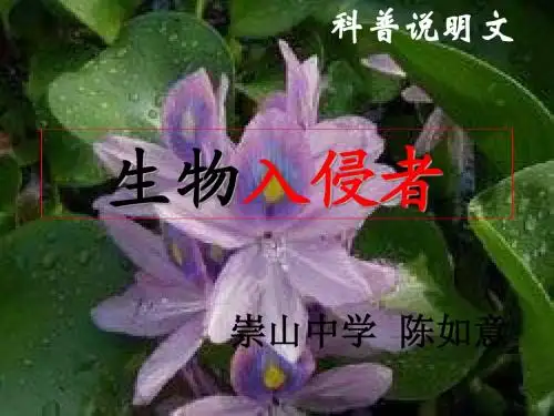 八年级语文生物入侵者  陈如意
