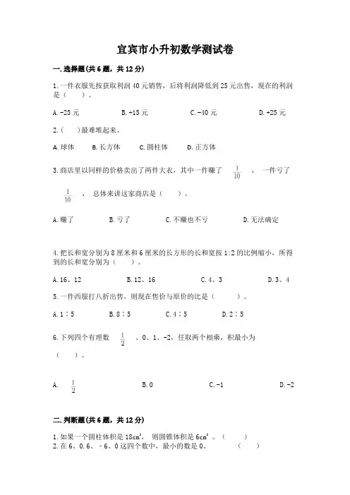 宜宾市小升初数学测试卷及完整答案一套