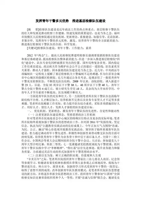 发挥青年干警多元优势  推进基层检察队伍建设