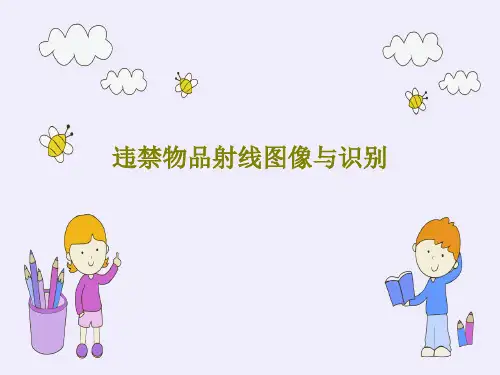 违禁物品射线图像与识别100页PPT