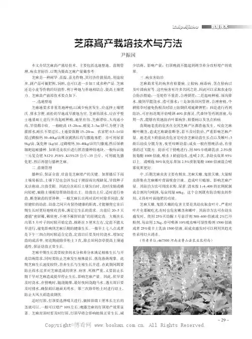 芝麻高产栽培技术与方法